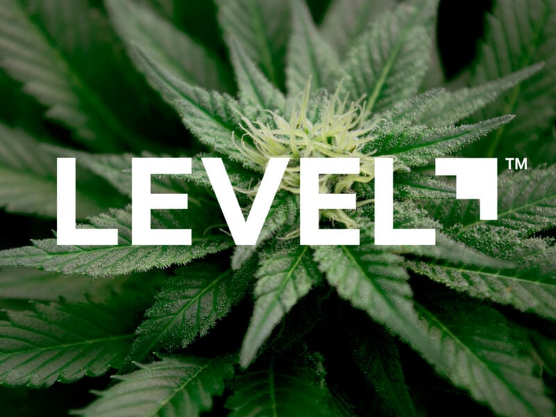 Level Experience Cannabis